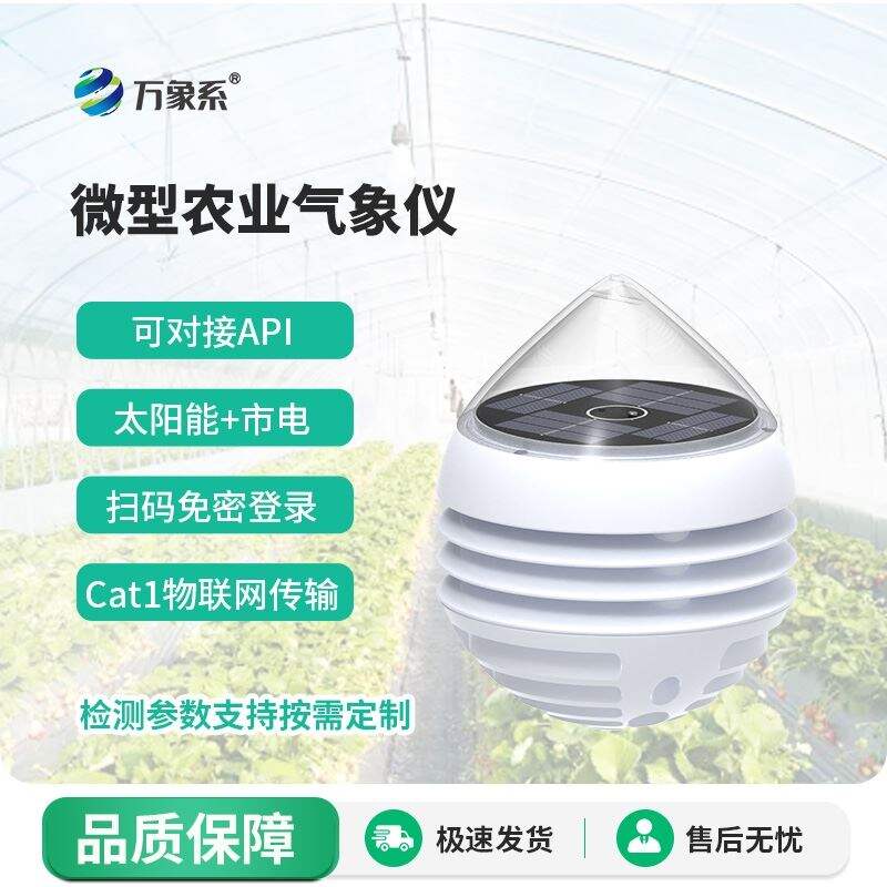 大棚小型气象仪