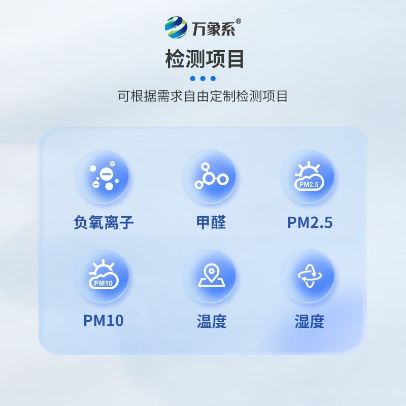 固体负氧离子实时检测仪