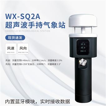 WX-SQ2A便携式气象仪器