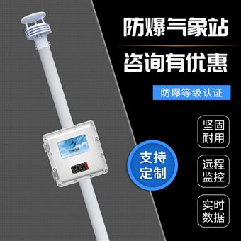 WX-FBQ液晶屏防爆气象站