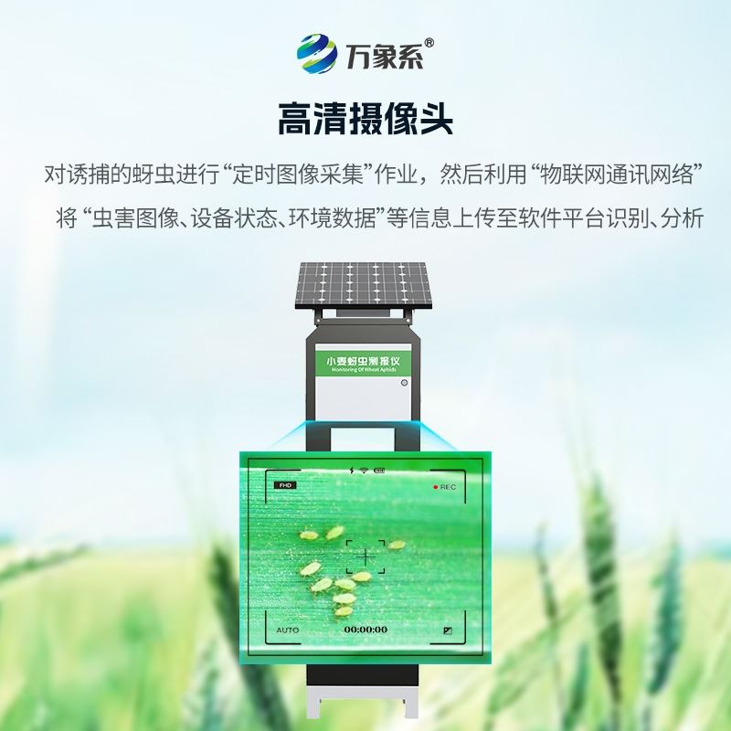 小麦蚜虫在线监测系统