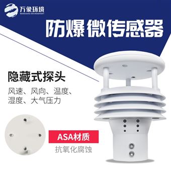 WX-WFB5防爆气象仪