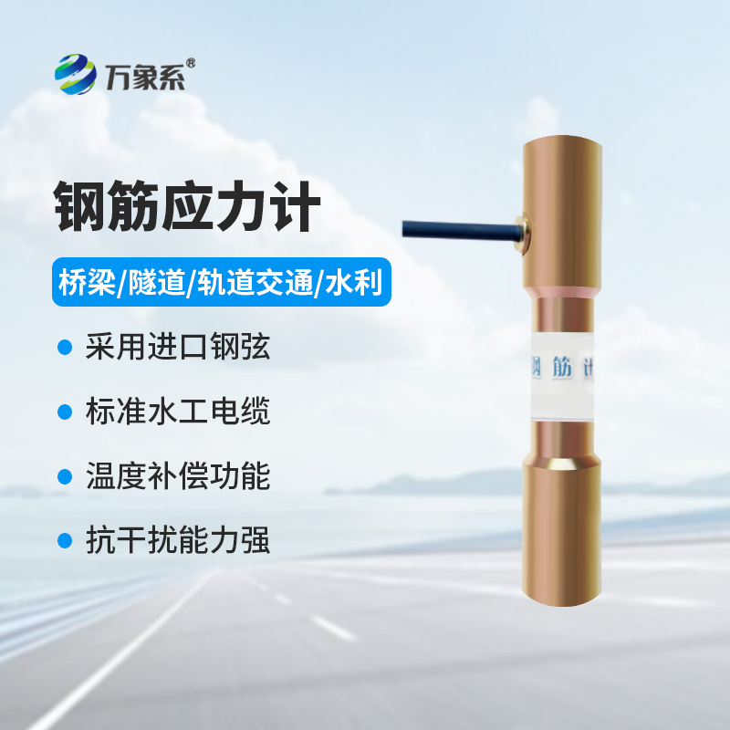 8.jpg 钢筋计