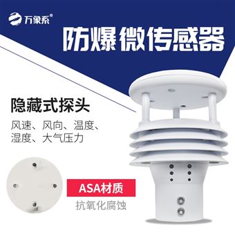 WX-WFB5防爆气象仪器