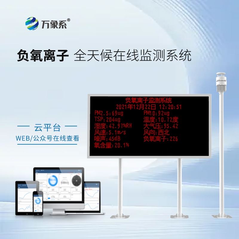 负离子监测系统