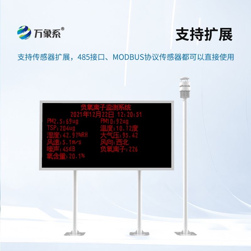 负离子监测系统