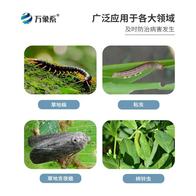 智能款高空杀虫灯