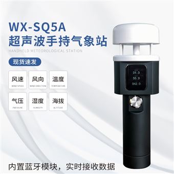 WX-SQ5A便携式气象仪器