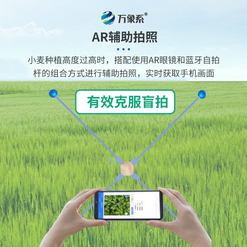 小麦亩穗数测量系统