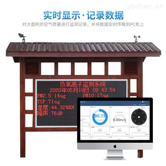 WX-FLZ40负氧离子监测站