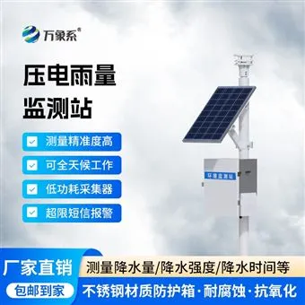 WX-YJ2压电式自动雨量监测站