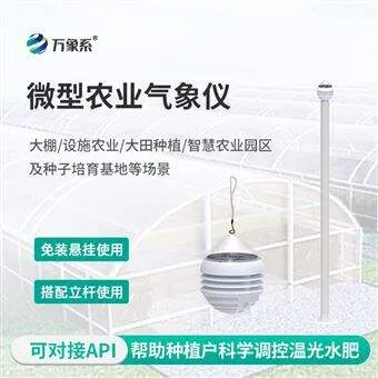 WX-WN3农业小气候观测仪