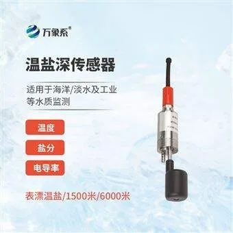 WX-WY表漂温盐传感器
