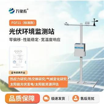 WX-FGF11分布式光伏发电环境监测系统